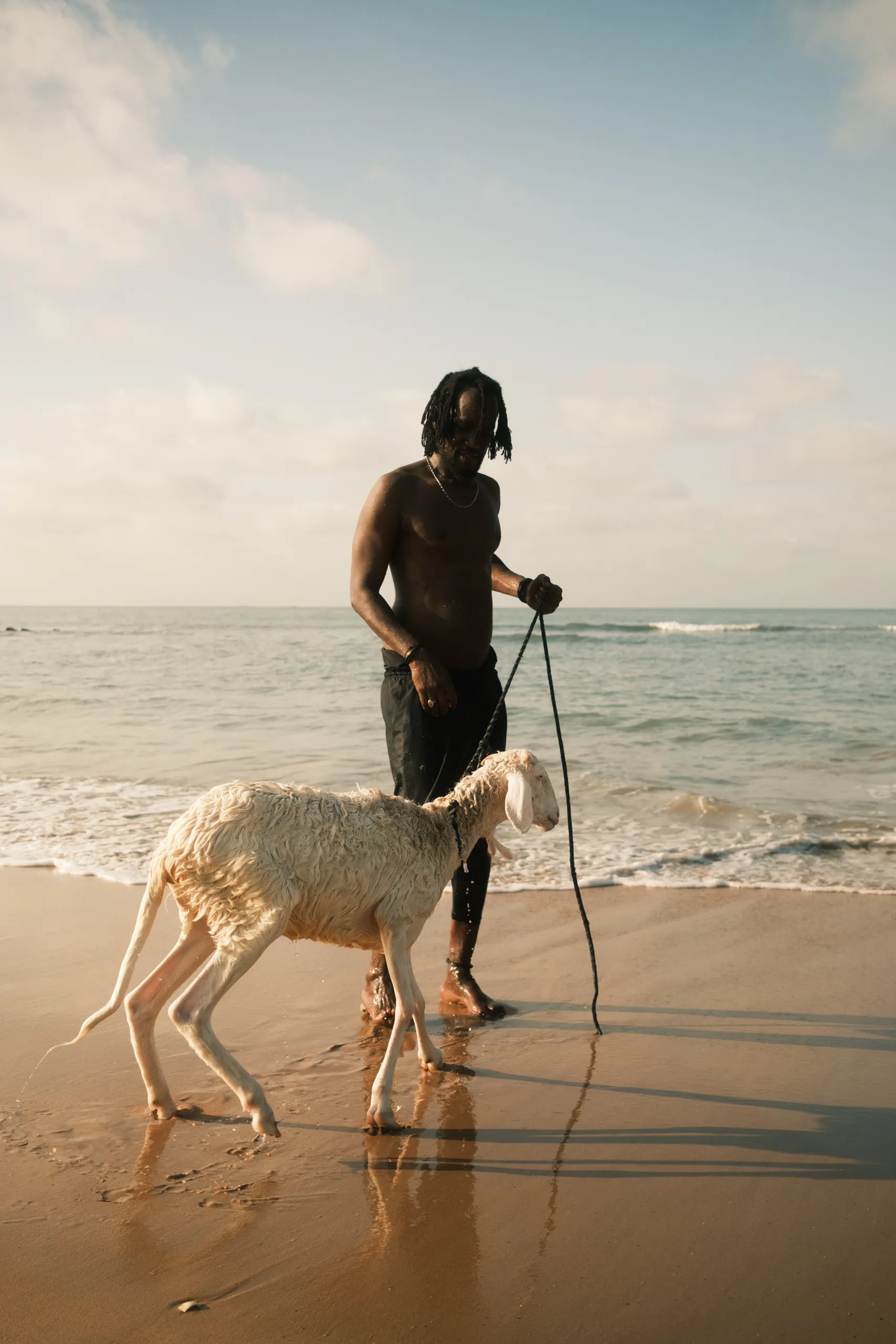 A man walking along the beach with his sheep